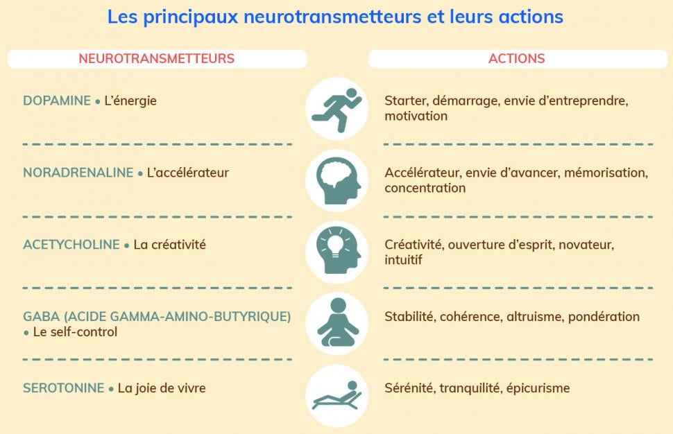 Fatigue et qualité du petit-déjeuner
Les principaux neurotransmetteurs et leurs actions
Santé et alimentation
Nutritionniste sur Saint-Chamas, Istres, Salon-de-Provence : Prise en charge de la perte de poids, surpoids, grossesse, infertilité, SOPK, endométriose