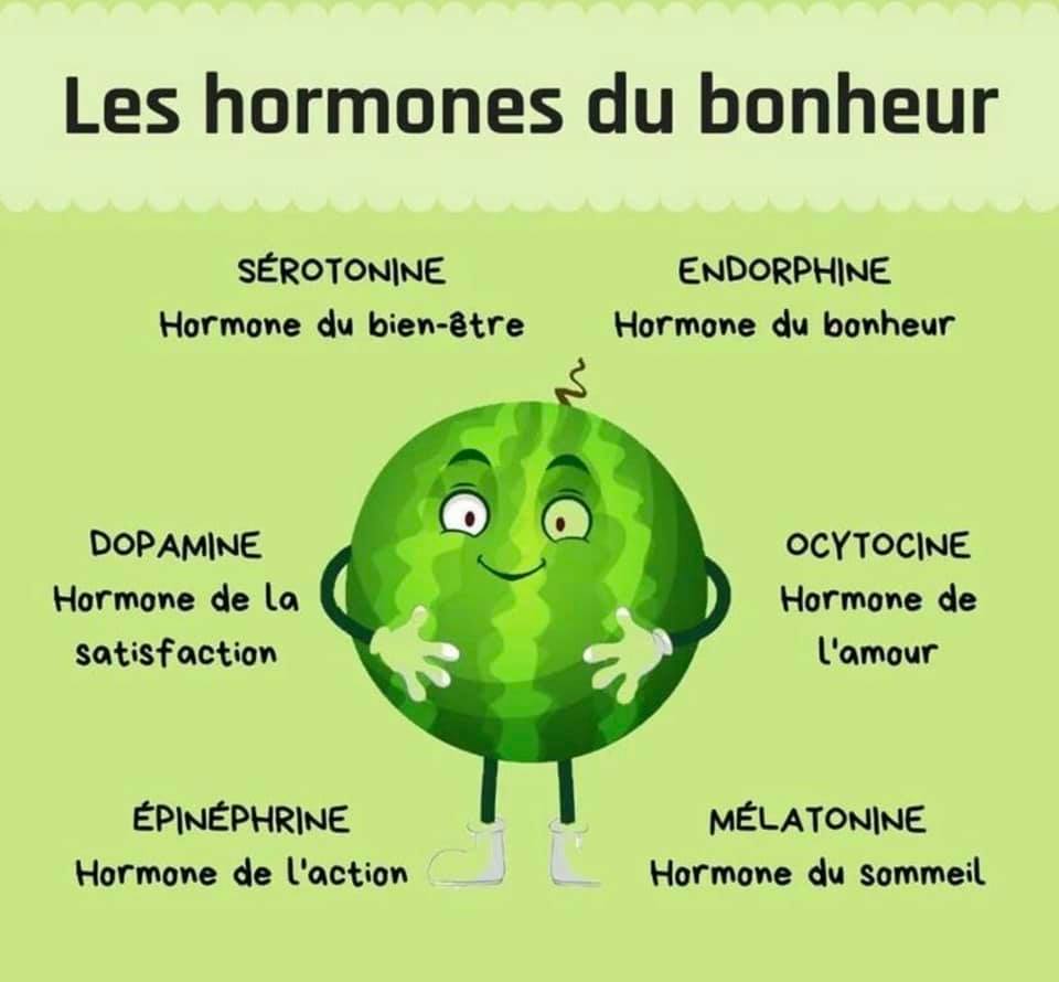 Les neurotransmetteurs du bonheur : fatigue et qualité du petit-déjeuner