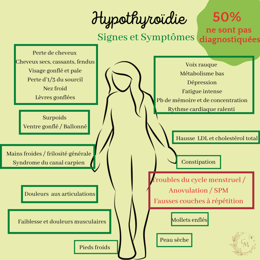 Hypothyroïdie, SOPK et prise en charge Les différents symptômes de l'hypothyroïdie
Nutritionniste sur Saint-Chamas, Istres, Salon-de-Provence : Prise en charge de la perte de poids, surpoids, grossesse, infertilité, SOPK, endométriose