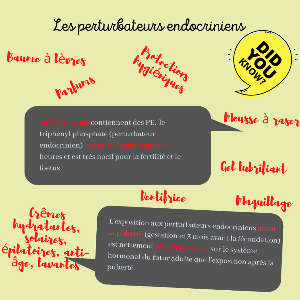 Où trouver des perturbateurs endocriniens ?
Nutritionniste sur Saint-Chamas : Prise en charge de la perte de poids, surpoids, grossesse, infertilité, SOPK, endométriose