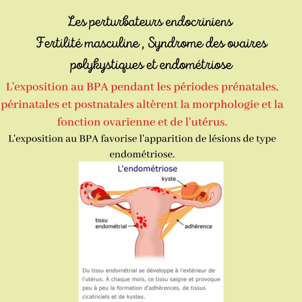 Nutritionniste sur Saint-Chamas : Prise en charge de la perte de poids, surpoids, grossesse, infertilité, SOPK, endométriose