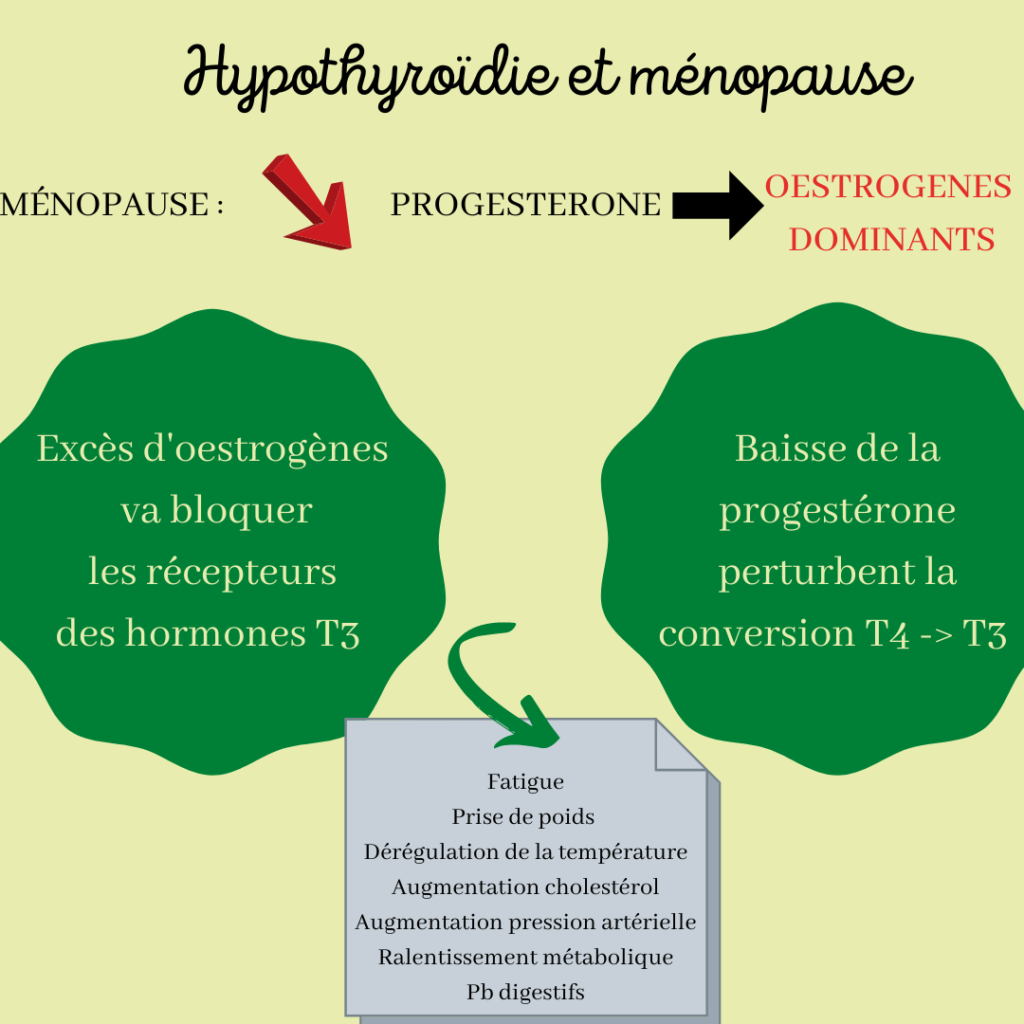 Nutritionniste sur Saint-Chamas, Istres, Salon-de-Provence : Prise en charge de la perte de poids, surpoids, grossesse, infertilité, SOPK, endométriose